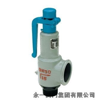 永一科技安全閥A42Y-16C海北